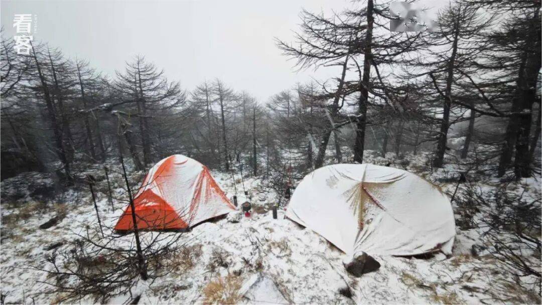 太线见过最残忍的死法冰球突破我在夺命鳌(图4)