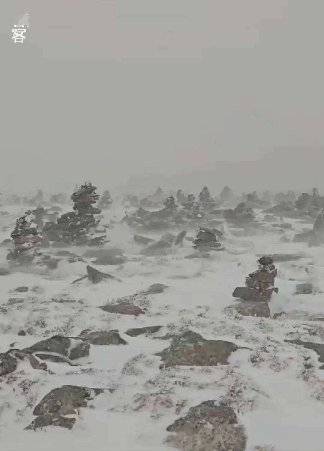 太线见过最残忍的死法冰球突破我在夺命鳌(图5)